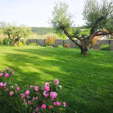 New Istrian Experience By Istrian *