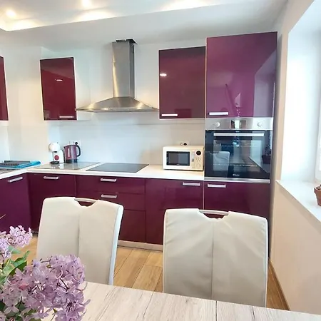 New Istrian Experience By Istrian Apartman Koper