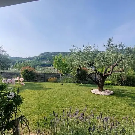 New Istrian Experience By Istrian