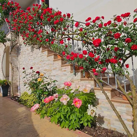 Apartman New Istrian Experience By Istrian Koper
