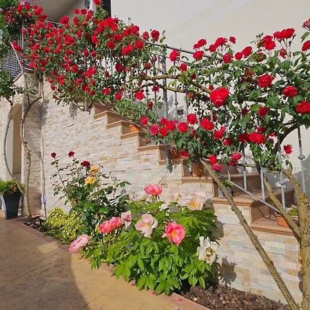 Lejlighed New Istrian Experience By Istrian Koper