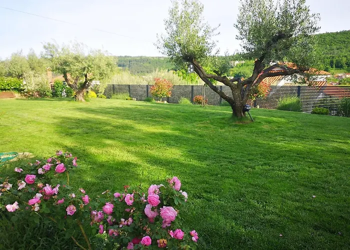 New Istrian Experience By Istrian *