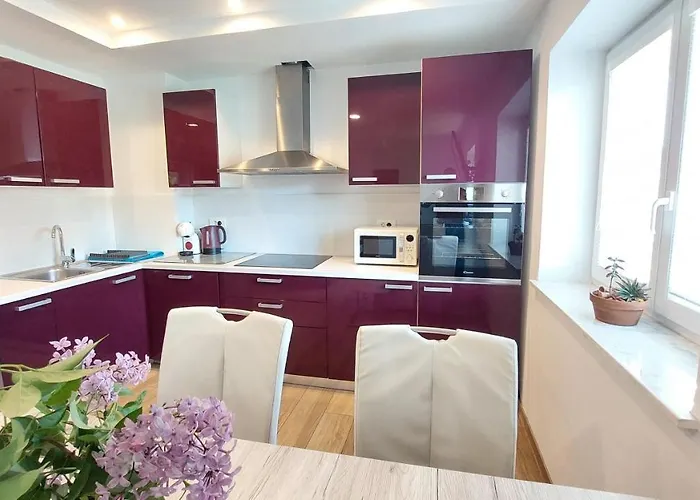 New Istrian Experience By Istrian 公寓 科佩尔