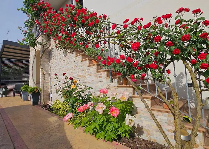 公寓 New Istrian Experience By Istrian 科佩尔